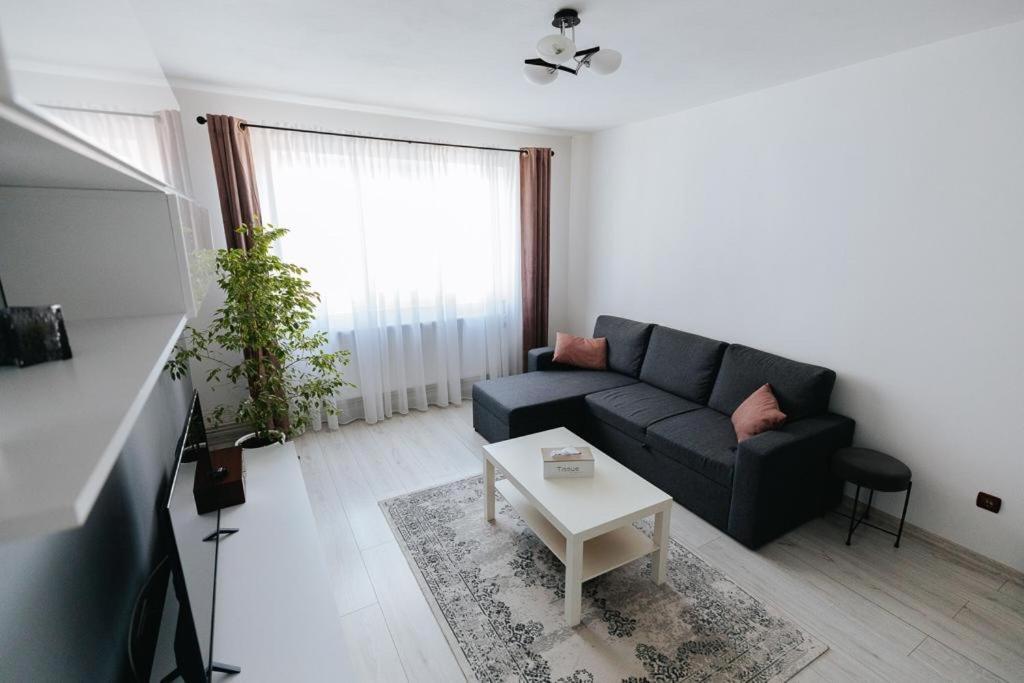Ferienwohnung Scandinavian House Târgu Jiu Exterior foto